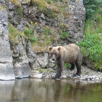 alaska fishing lodge