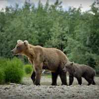 Alaska fishing lodge